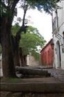 12 Colonia